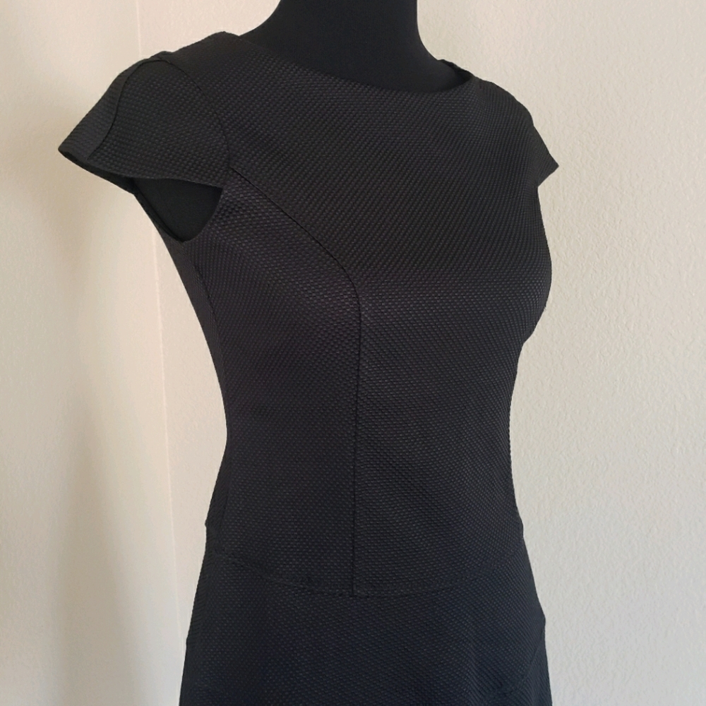 Lark & Ro Cap Sleeve Dense Knit Dress Drop Waist